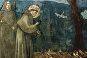 S. Francesco